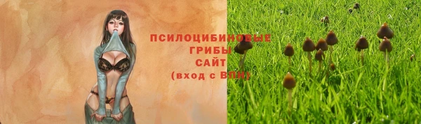 MDMA Premium VHQ Абаза